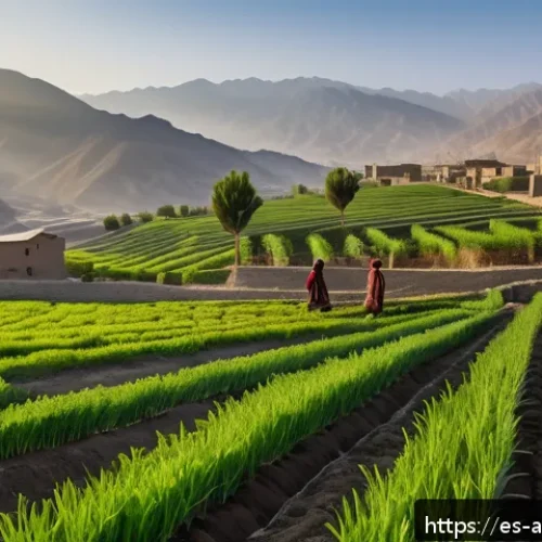 아프가니스탄 경제 재건 - A vibrant rural Afghan farming scene at sunrise, showcasing small-scale farmers wearing traditional ...